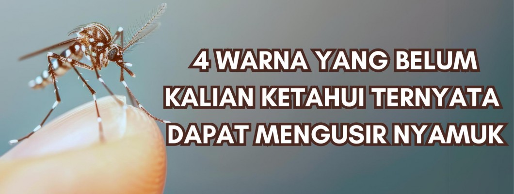 4 WARNA YANG BELUM KALIAN KETAHUI TERNYATA DAPAT MENGUSIR NYAMUK 4 WARNA YANG BELUM KALIAN KETAHUI TERNYATA DAPAT MENGUSIR NYAMUK