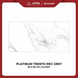 Keramik Platinum Trento Rec 30x60 Grey KW A