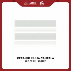 Keramik Mulia Cantala Grey 25x40 CM Glossy