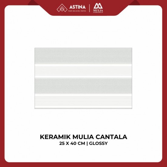Keramik Mulia Cantala Grey 25x40 CM Glossy