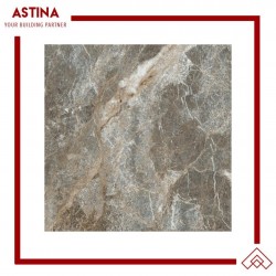 Keramik Lantai Platinum Johnson Brown Rec 60x60