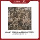 Granite CERANOSA CRCH3607777FN Dark Brown 60x60 Glossy Granite CERANOSA CRCH3607777FN Dark Brown 60x60 Glossy