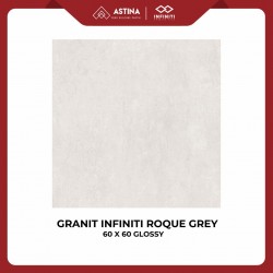 Granite Infiniti Roque Light Grey 60x60 Glossy