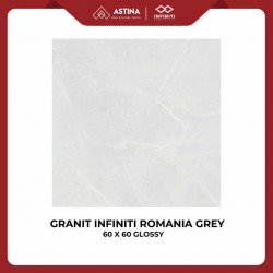 Granite Infiniti Romania Grey 60x60 Glossy