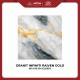 Granite Infiniti Raiven Gold 60x60 Glossy Granite Infiniti Raiven Gold 60x60 Glossy